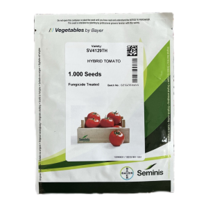 بذر گوجه فرنگی سمینیس رقم SV4129TH | Bayer