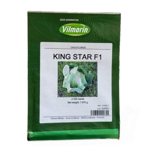 بذر گل کلم KING STAR F1 ویلمورین